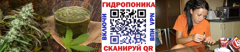 Купить где  Дедовск  Canna-Cookies марихуана 